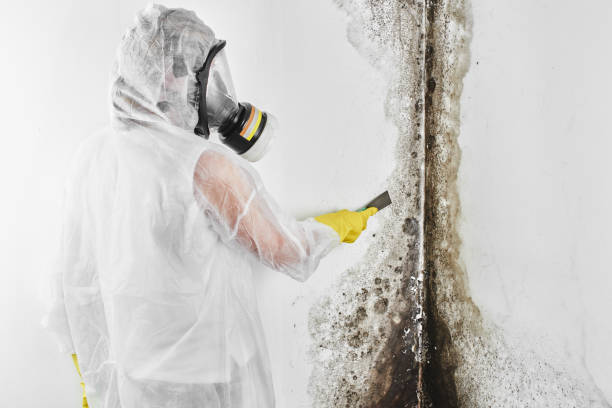 Forensic Mold Investigation in Boca Raton, FL